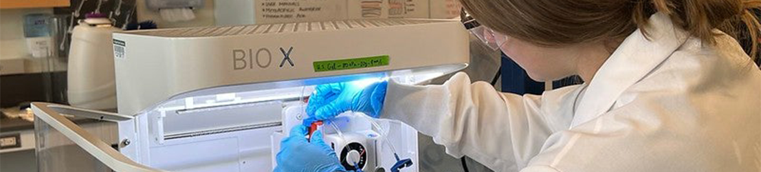 BME Stock Photo 3 Cropped