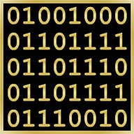 pin with binary code