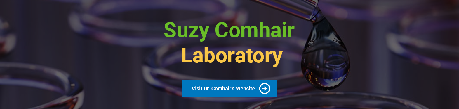 Suzy Comhair Lab Banner.