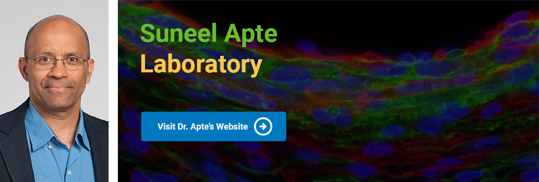 Suneel Apte Lab Banner.