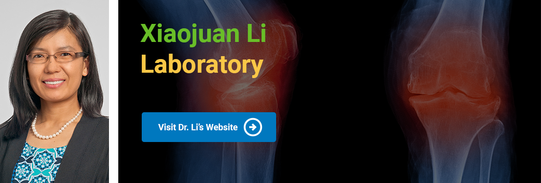 Xiaojuan Li Lab Banner.