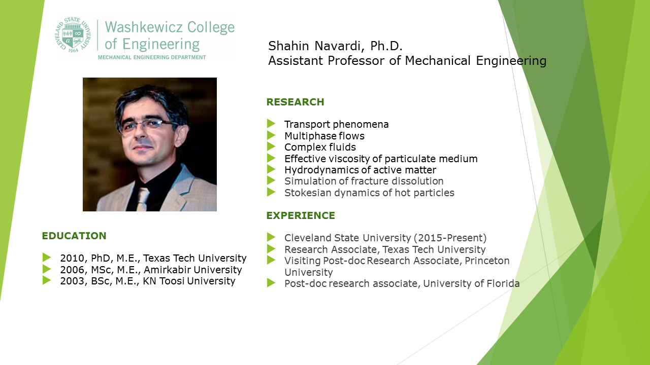 Shahin Navardi PhD