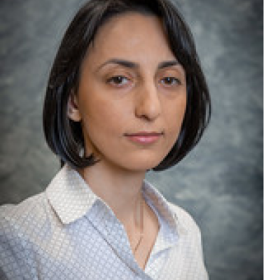  Maryam Younessi Sinaki
