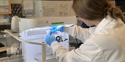 Biomedical Engineer