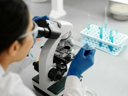 BME Stock Photo 1