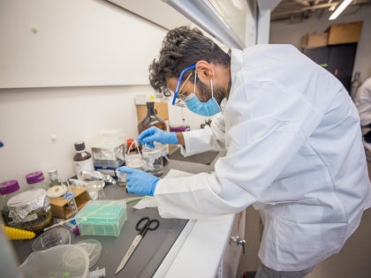 A student working on research in a lab.