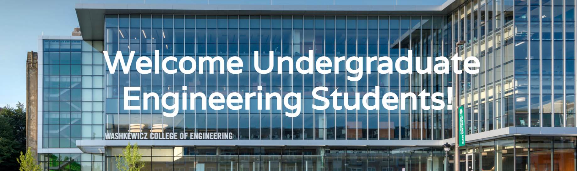 undergrad eng.png